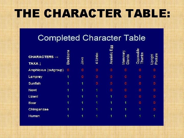 THE CHARACTER TABLE: 