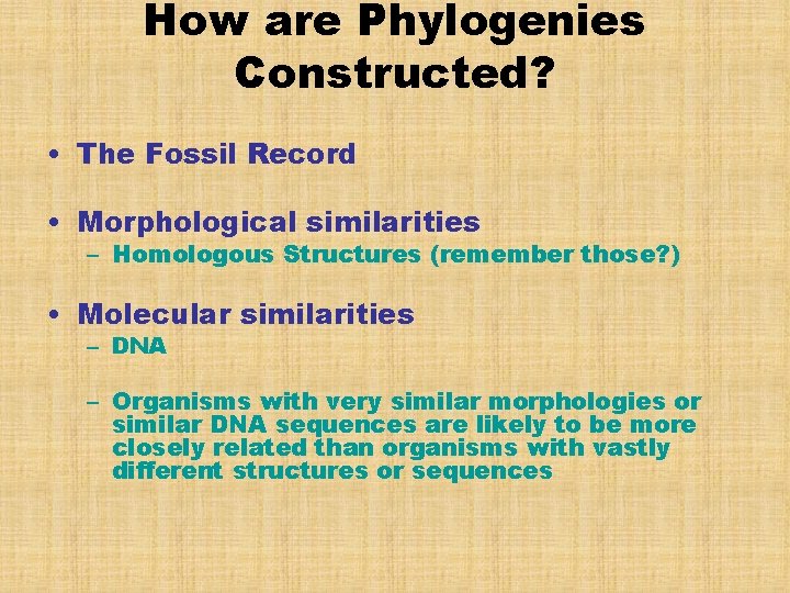 How are Phylogenies Constructed? • The Fossil Record • Morphological similarities – Homologous Structures