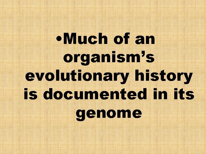  • Much of an organism’s evolutionary history is documented in its genome 