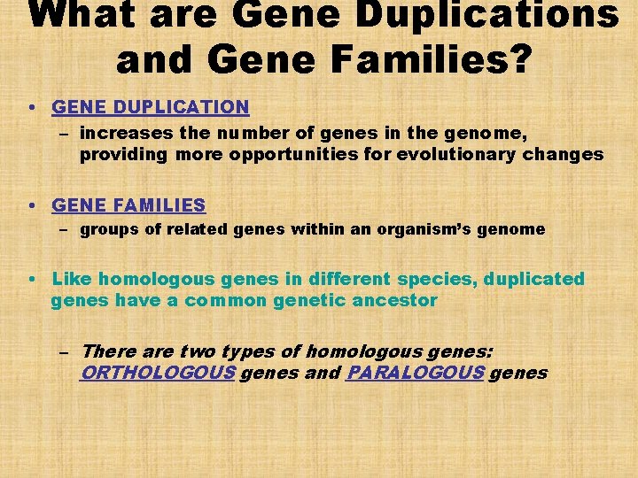 What are Gene Duplications and Gene Families? • GENE DUPLICATION – increases the number