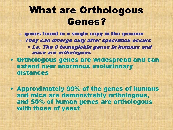 What are Orthologous Genes? – genes found in a single copy in the genome