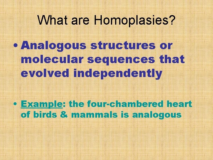 What are Homoplasies? • Analogous structures or molecular sequences that evolved independently • Example: