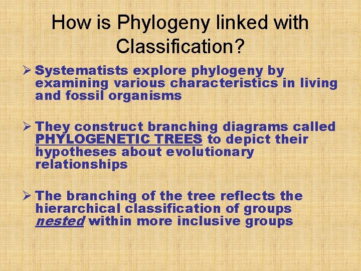 How is Phylogeny linked with Classification? Ø Systematists explore phylogeny by examining various characteristics