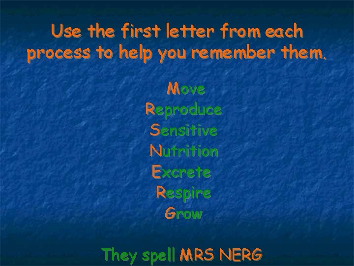 Mrs. Nerg Project MRS NERG LIFE PROCESSES On your poster group