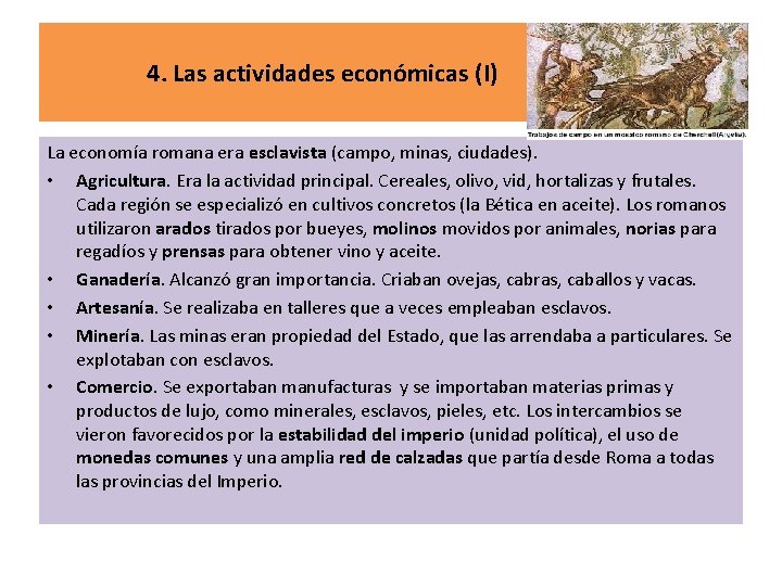 4. Las actividades económicas (I) La economía romana era esclavista (campo, minas, ciudades). •