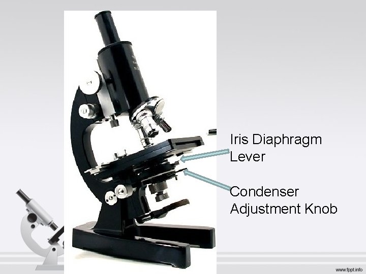 Iris Diaphragm Lever Condenser Adjustment Knob 