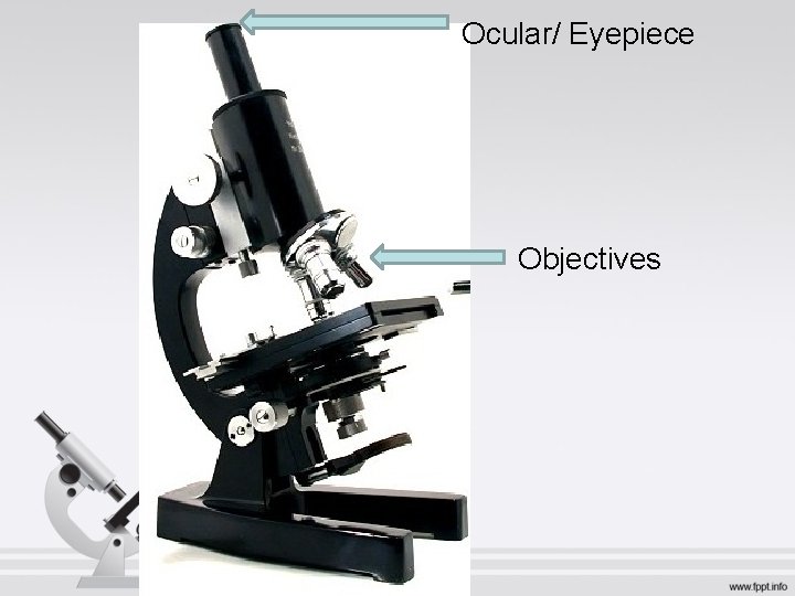 Ocular/ Eyepiece Objectives 