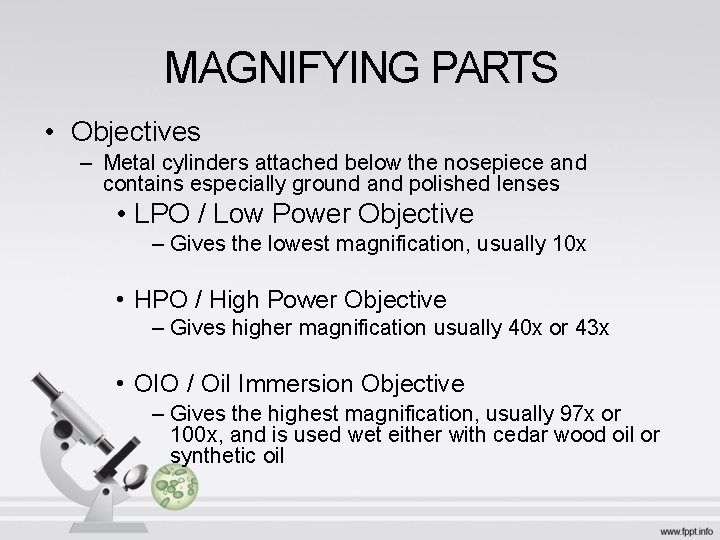 MAGNIFYING PARTS • Objectives – Metal cylinders attached below the nosepiece and contains especially