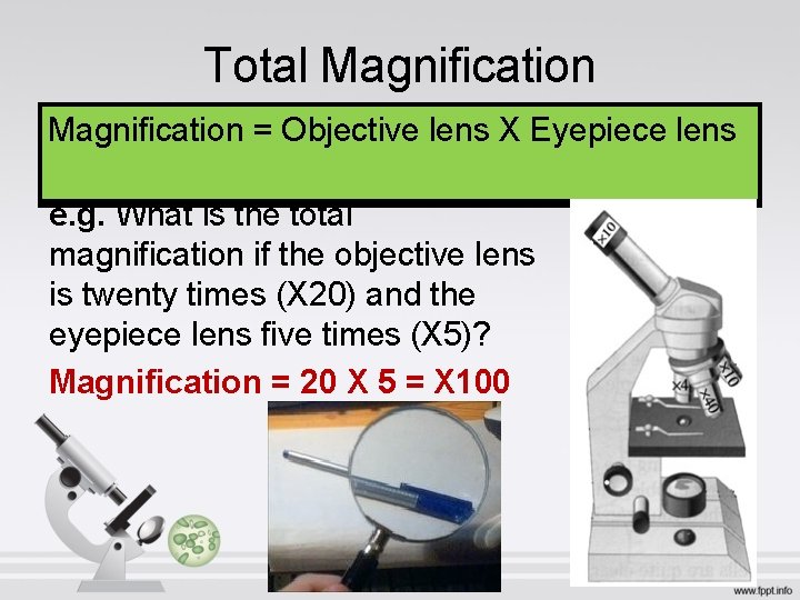 Total Magnification = Objective lens X Eyepiece lens e. g. What is the total