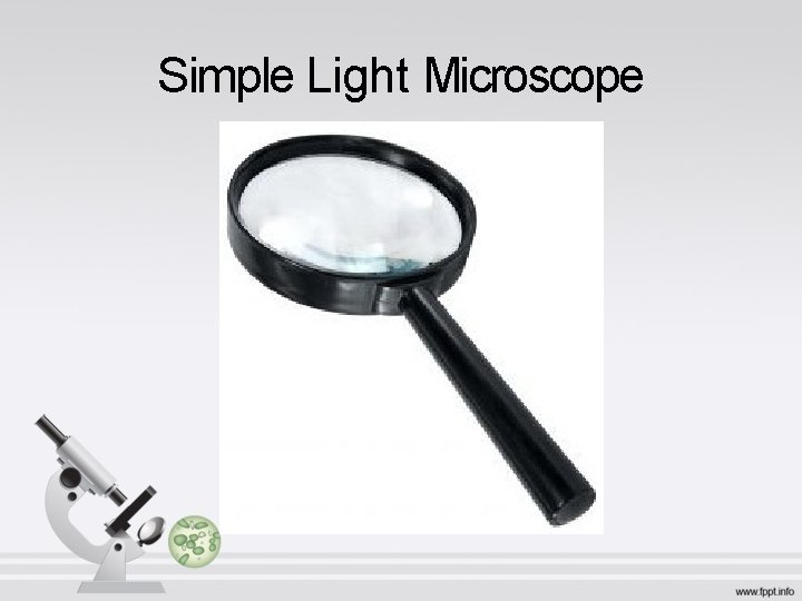 Simple Light Microscope 