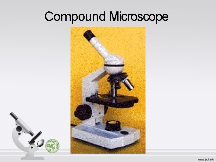 Compound Microscope 