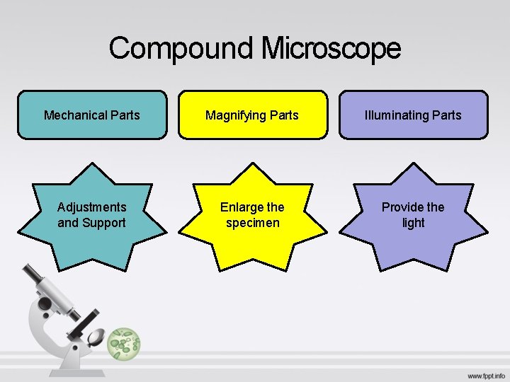 Compound Microscope Mechanical Parts Magnifying Parts Illuminating Parts Adjustments and Support Enlarge the specimen