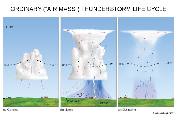 ORDINARY (“AIR MASS”) THUNDERSTORM LIFE CYCLE 