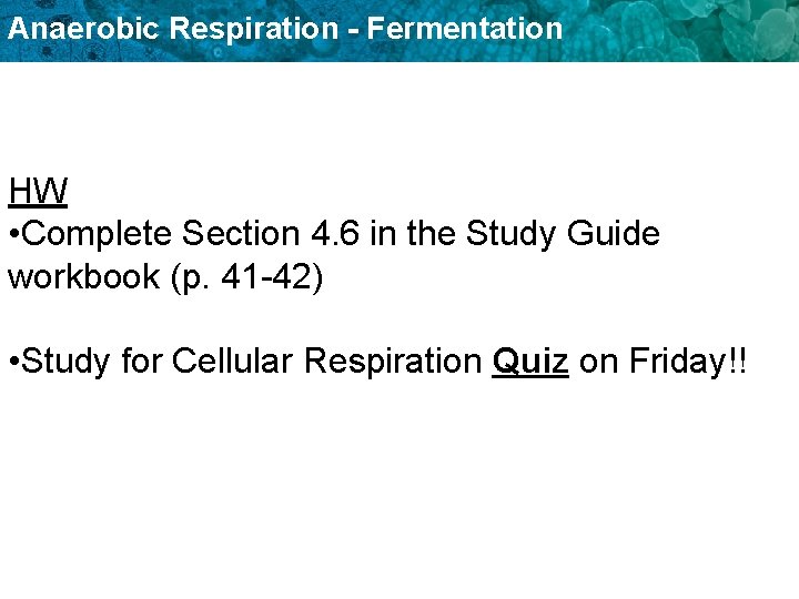 Anaerobic Respiration - Fermentation HW • Complete Section 4. 6 in the Study Guide