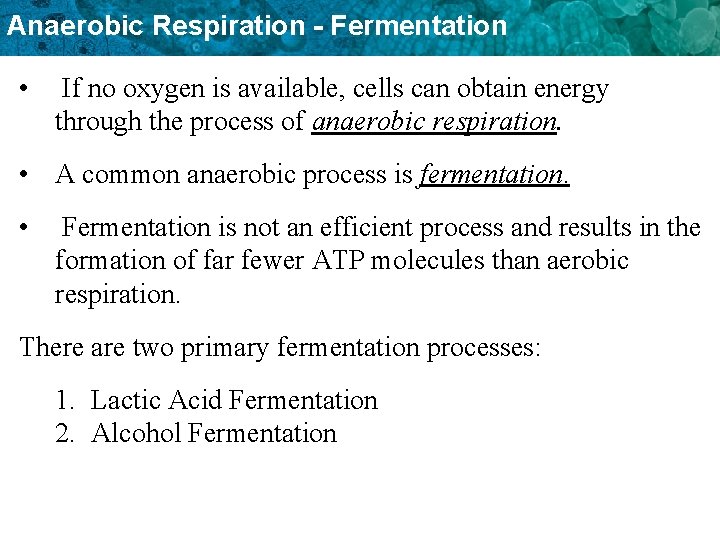 Anaerobic Respiration - Fermentation • If no oxygen is available, cells can obtain energy