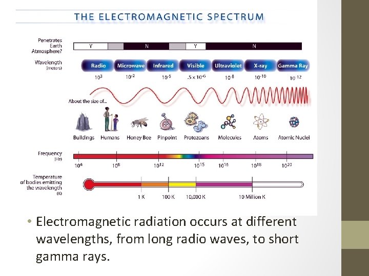  • Electromagnetic radiation occurs at different wavelengths, from long radio waves, to short