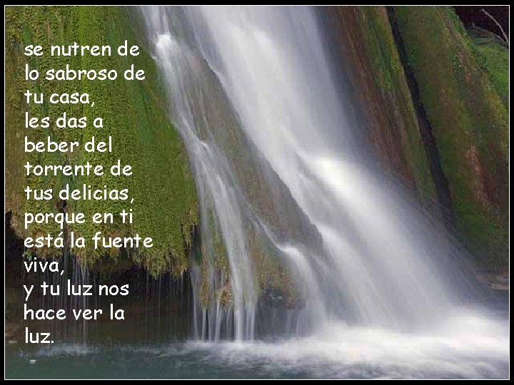 se nutren de lo sabroso de tu casa, les das a beber del torrente
