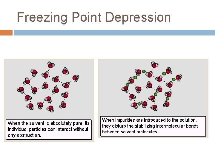 Freezing Point Depression 