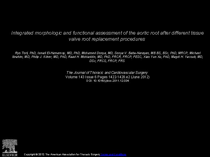 Integrated morphologic and functional assessment of the aortic root after different tissue valve root