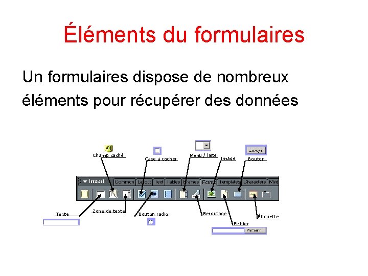 Éléments du formulaires Un formulaires dispose de nombreux éléments pour récupérer des données Champ