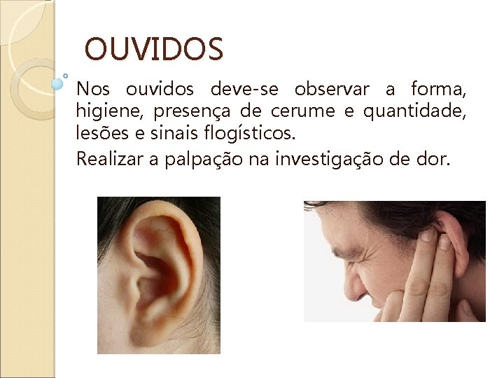 OUVIDOS Nos ouvidos deve-se observar a forma, higiene, presença de cerume e quantidade, lesões