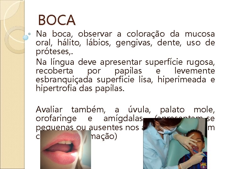 BOCA Na boca, observar a coloração da mucosa oral, hálito, lábios, gengivas, dente, uso