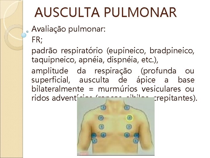 AUSCULTA PULMONAR Avaliação pulmonar: FR; padrão respiratório (eupineico, bradpineico, taquipneico, apnéia, dispnéia, etc. ),