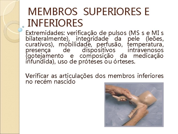 MEMBROS SUPERIORES E INFERIORES Extremidades: verificação de pulsos (MS s e MI s bilateralmente),
