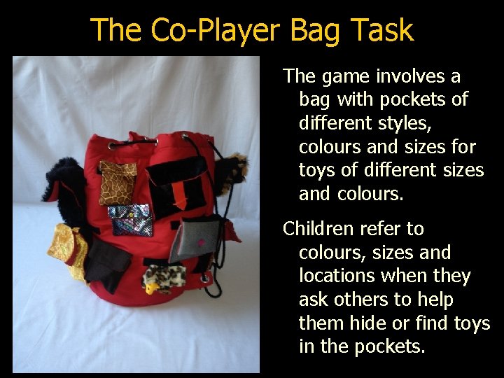 The Co-Player Bag Task The game involves a bag with pockets of different styles,
