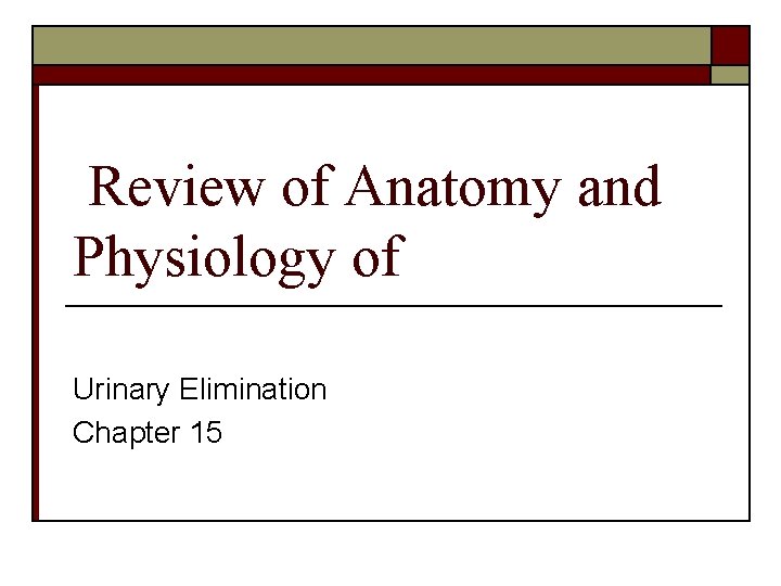 Review of Anatomy and Physiology of Urinary Elimination Chapter 15 