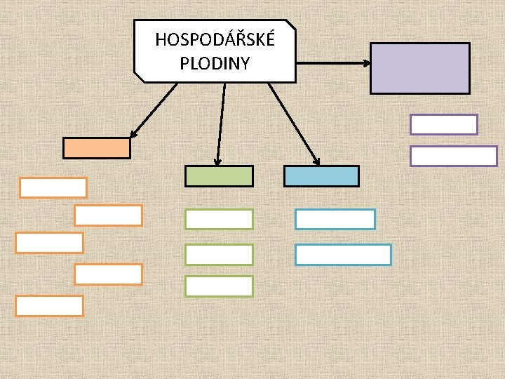 HOSPODÁŘSKÉ PLODINY 