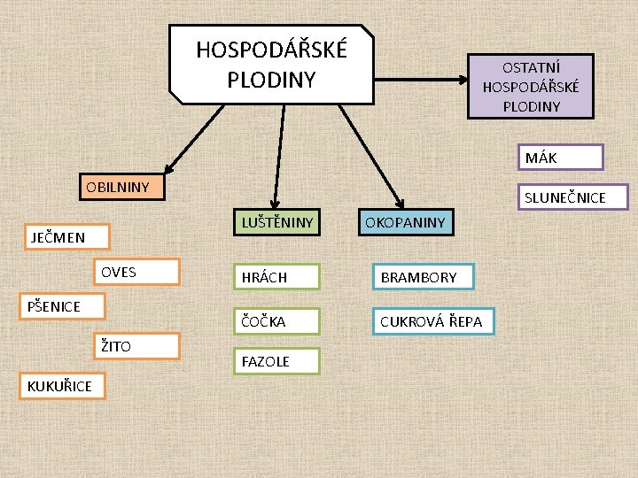 HOSPODÁŘSKÉ PLODINY OSTATNÍ HOSPODÁŘSKÉ PLODINY MÁK OBILNINY LUŠTĚNINY JEČMEN OVES PŠENICE ŽITO KUKUŘICE SLUNEČNICE