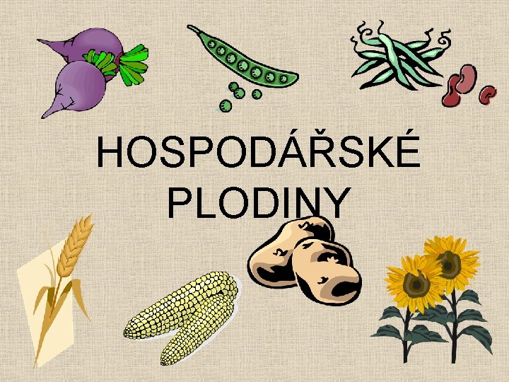 HOSPODÁŘSKÉ PLODINY HOSPODÁŘSKÉ PLODINY