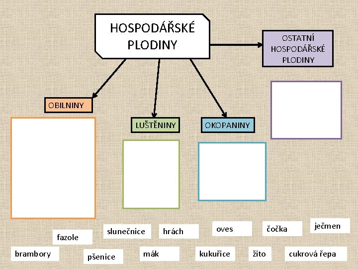 HOSPODÁŘSKÉ PLODINY OSTATNÍ HOSPODÁŘSKÉ PLODINY OBILNINY LUŠTĚNINY fazole brambory slunečnice pšenice mák hrách OKOPANINY HOSPODÁŘSKÉ PLODINY OSTATNÍ HOSPODÁŘSKÉ PLODINY OBILNINY LUŠTĚNINY fazole brambory slunečnice pšenice mák hrách OKOPANINY
