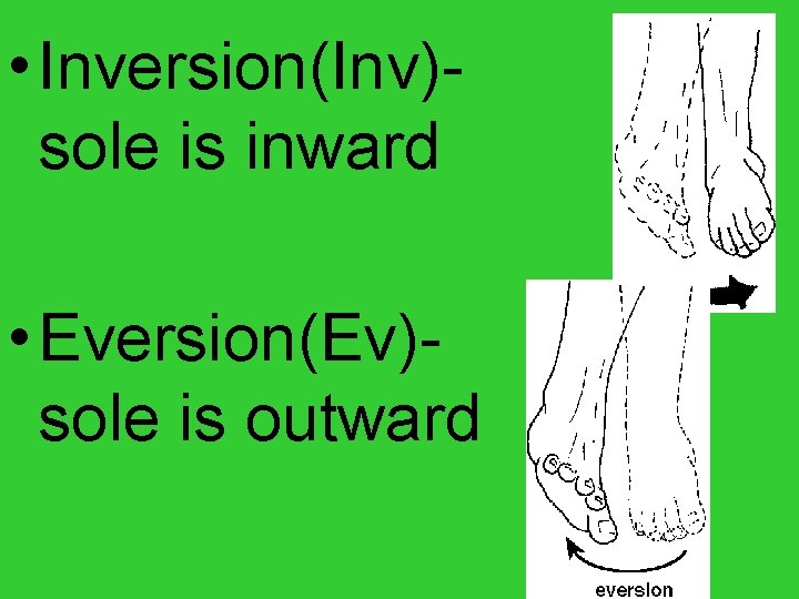  • Inversion(Inv)sole is inward • Eversion(Ev)sole is outward 