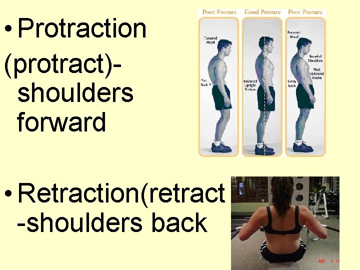  • Protraction (protract)shoulders forward • Retraction(retract -shoulders back 