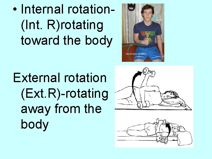  • Internal rotation(Int. R)rotating toward the body External rotation (Ext. R)-rotating away from