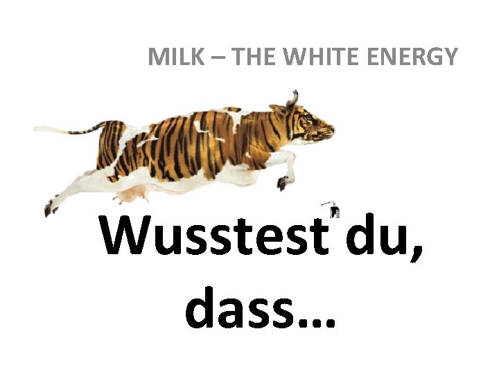 MILK – THE WHITE ENERGY Wusstest du, dass… 