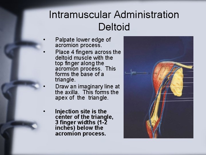 Intramuscular Administration Deltoid • • Palpate lower edge of acromion process. Place 4 fingers