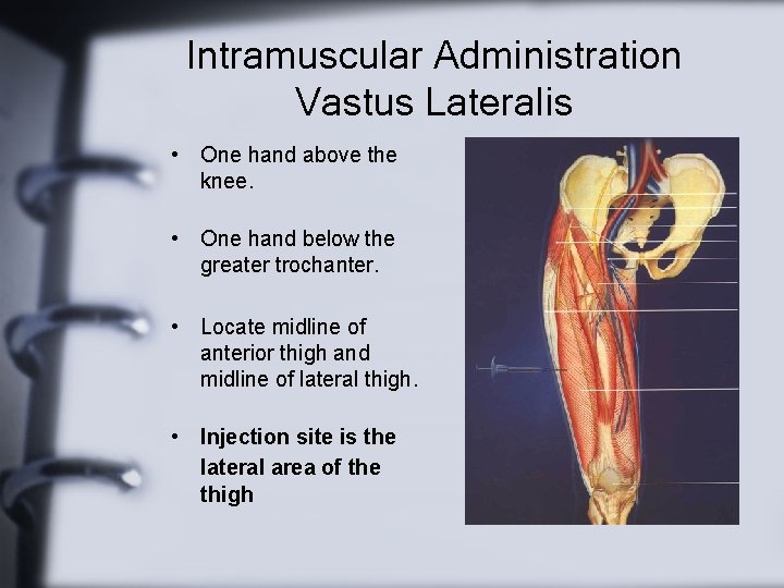 Intramuscular Administration Vastus Lateralis • One hand above the knee. • One hand below