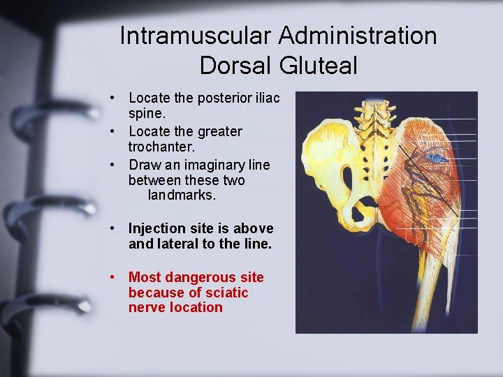 Intramuscular Administration Dorsal Gluteal • Locate the posterior iliac spine. • Locate the greater