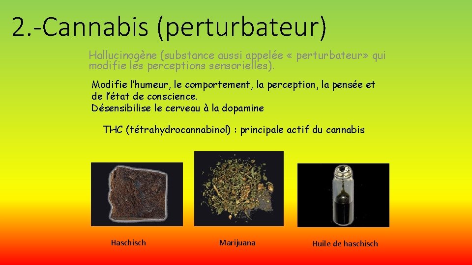 2. -Cannabis (perturbateur) Hallucinogène (substance aussi appelée « perturbateur» qui modifie les perceptions sensorielles).