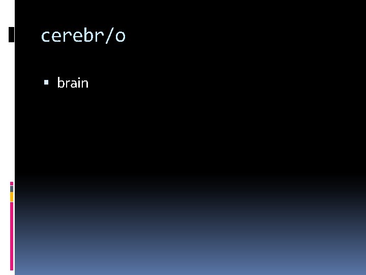 cerebr/o brain 