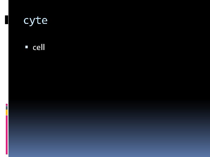 cyte cell 