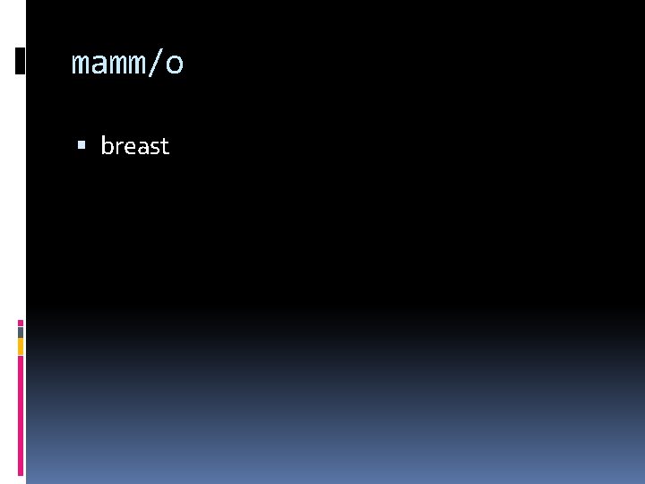 mamm/o breast 