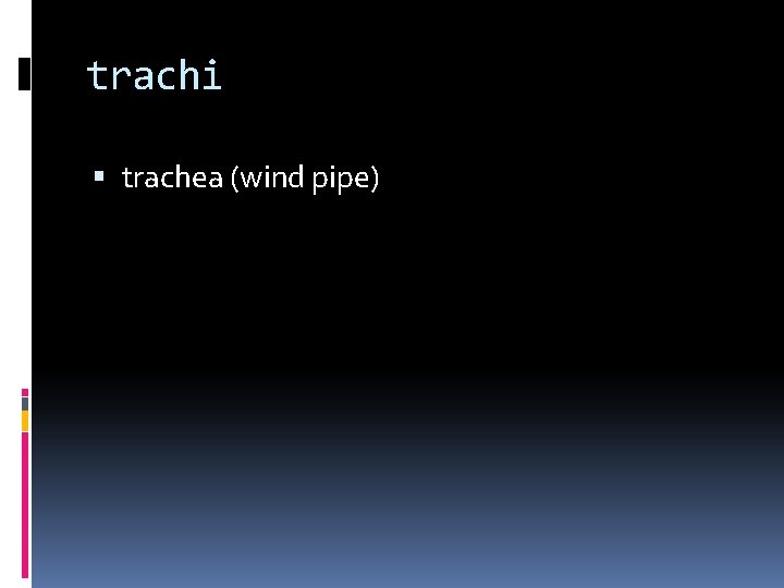 trachi trachea (wind pipe) 