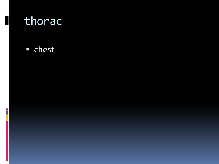 thorac chest 