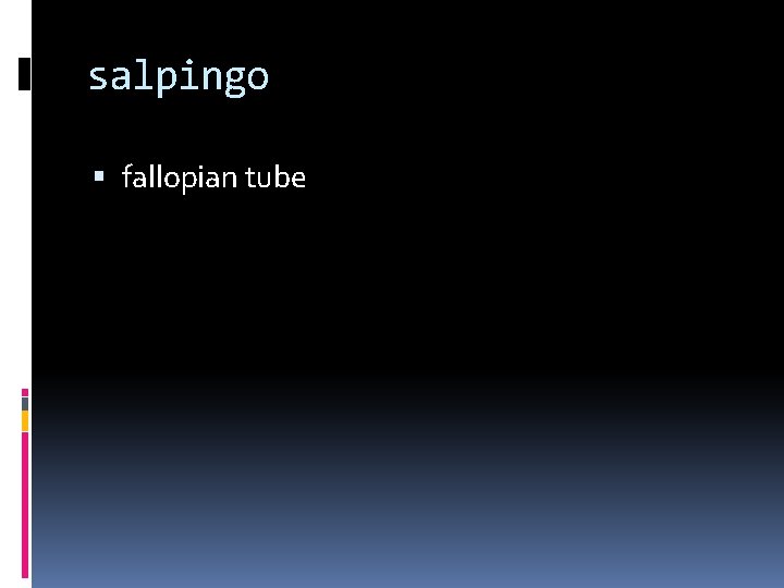 salpingo fallopian tube 