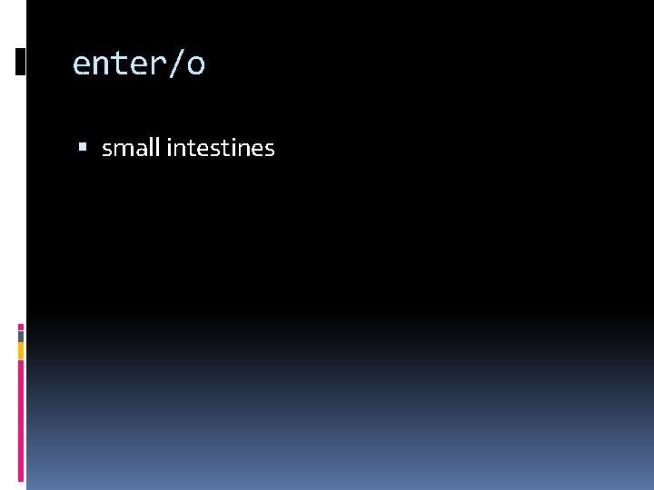 enter/o small intestines 