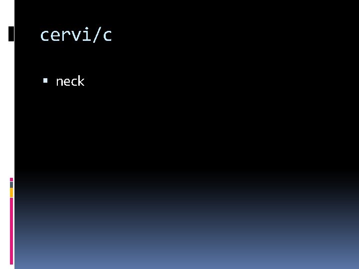 cervi/c neck 